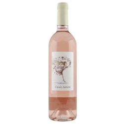 Juliette Rosé  Bio